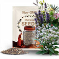 50 Native American Rattlesnake Master Seeds, Eryngium Yuccifolium, Sea Holly, Thistle ER0450