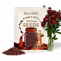 Cranberry Rose Strawflower Seeds: Deep Pink Everlasting Blooms