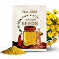 1000 YELLOW SAND COREOPSIS Lanceolata Lanceleaf Tickseed Flower Seeds