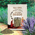 Hyssop herb 200 seeds