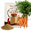 Tendersweet Carrot Heirloom Seeds - Seed Packets, Orange Carrot Seeds, Open Pollinated, Non-GMO