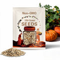 Cinderella Pumpkin Seeds – Heirloom Vegetable, Open Pollinated, Non-GMO, Classic French Variety, Deep Orange Fruit | 10 Seeds