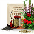 Cypress Vine Seeds - Ipomoea Pennata Red Flower Seed - 100 Seeds