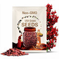 Red Manzano Rocoto Pepper Seeds: Heirloom Capsicum Pubescens (24 Seeds)