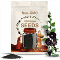 Black Hollyhock (Truly), Perennial (25+ large Seeds)