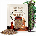 12 Seeds per Pack - Purple-Edge Mung Bean Seeds/紫边眉豆 - Non-GMO, Easy to Grow