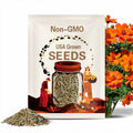 Cosmos Seeds Tall Orange Sulphur 100 Ct Flower Garden ANNUAL USA