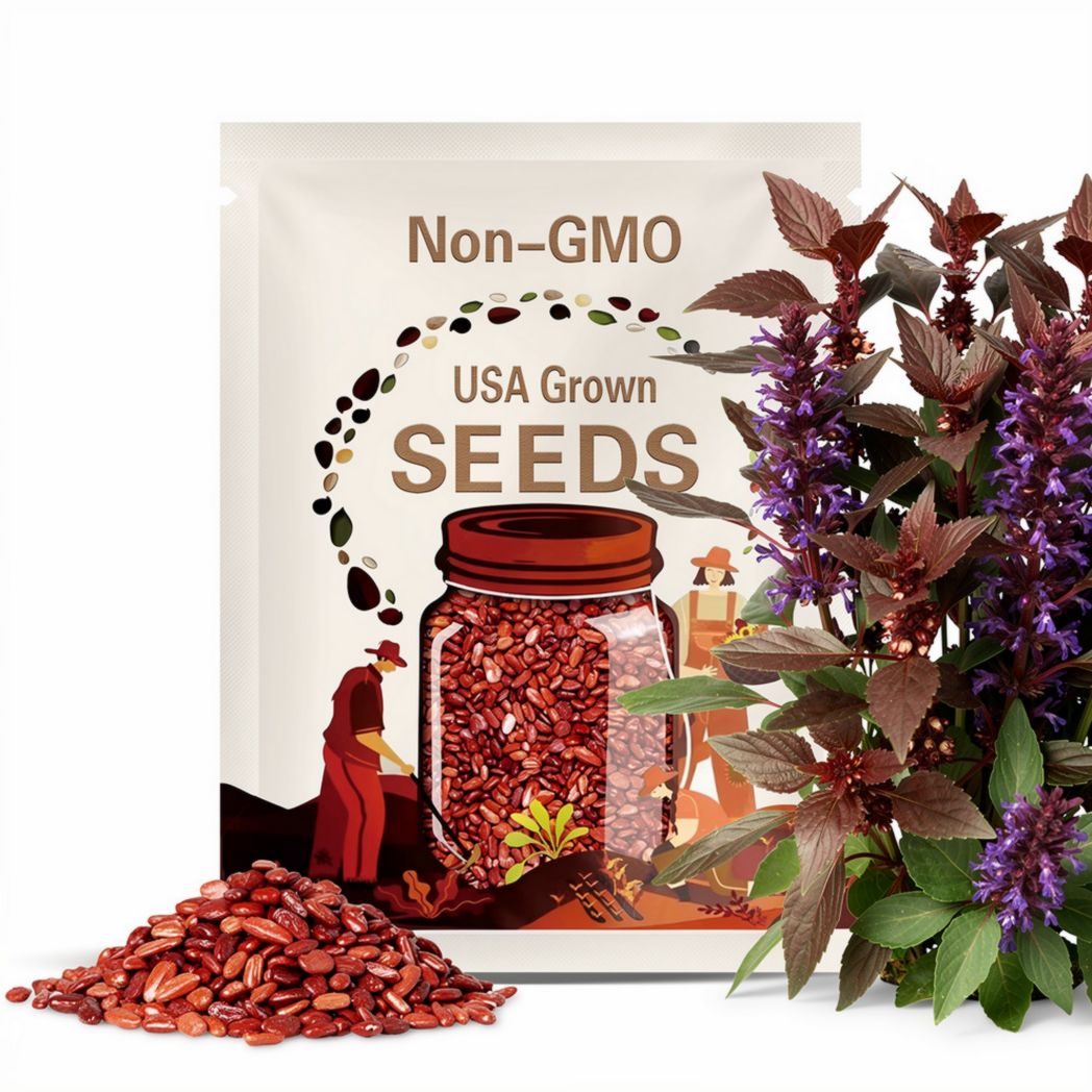 Mexican Red Morning Glory Ipomoea Coccinea (Qty 30) Seeds 2025 NC Organic